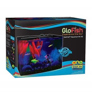 Акваріум GloFish